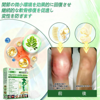 🧑‍⚕️公式旗艦店 /ANGELTRAP®＆NAD+ 10-in-1 ナノ強化フォーミュラ — 肥満、肌のたるみ、糖尿病、睡眠時無呼吸症候群、関節の悩み、その他健康上の懸念にアプローチ🛡️